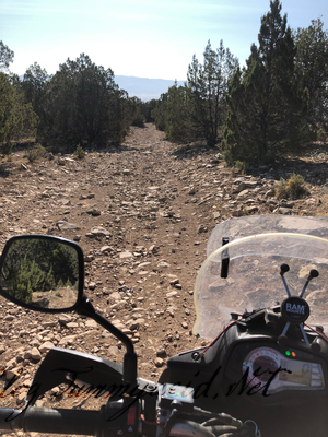 This road was very bumpy with sharp rocks common